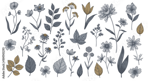 A collection of hand-drawn vintage botanical elements featuring various flowers, leaves, and branches in a muted color palette.