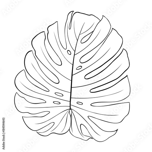 Monstera leaf line art illustration featuring clean contours and natural cutout shapes, creating a simple minimalist botanical outline ideal for coloring pages, decor, or graphic design projects