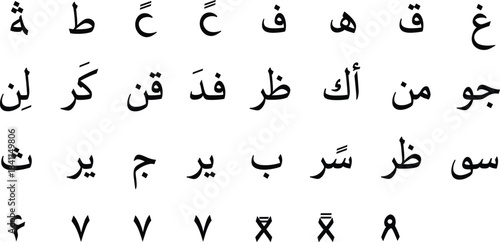 Realistic Vector Set of Lychee Fruits: Whole, Halved with Seed, and Green Leaves