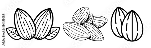 Stylized outline drawing of a cluster of almonds on a black background