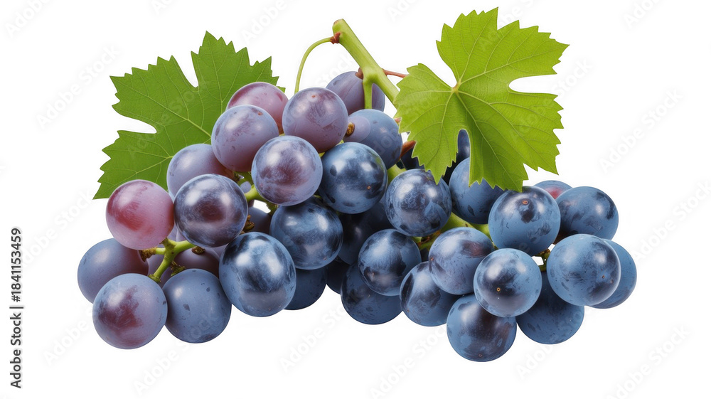 Fototapeta premium Bunch of ripe purple grapes with green leaves on a black background isolated on a transparent background
