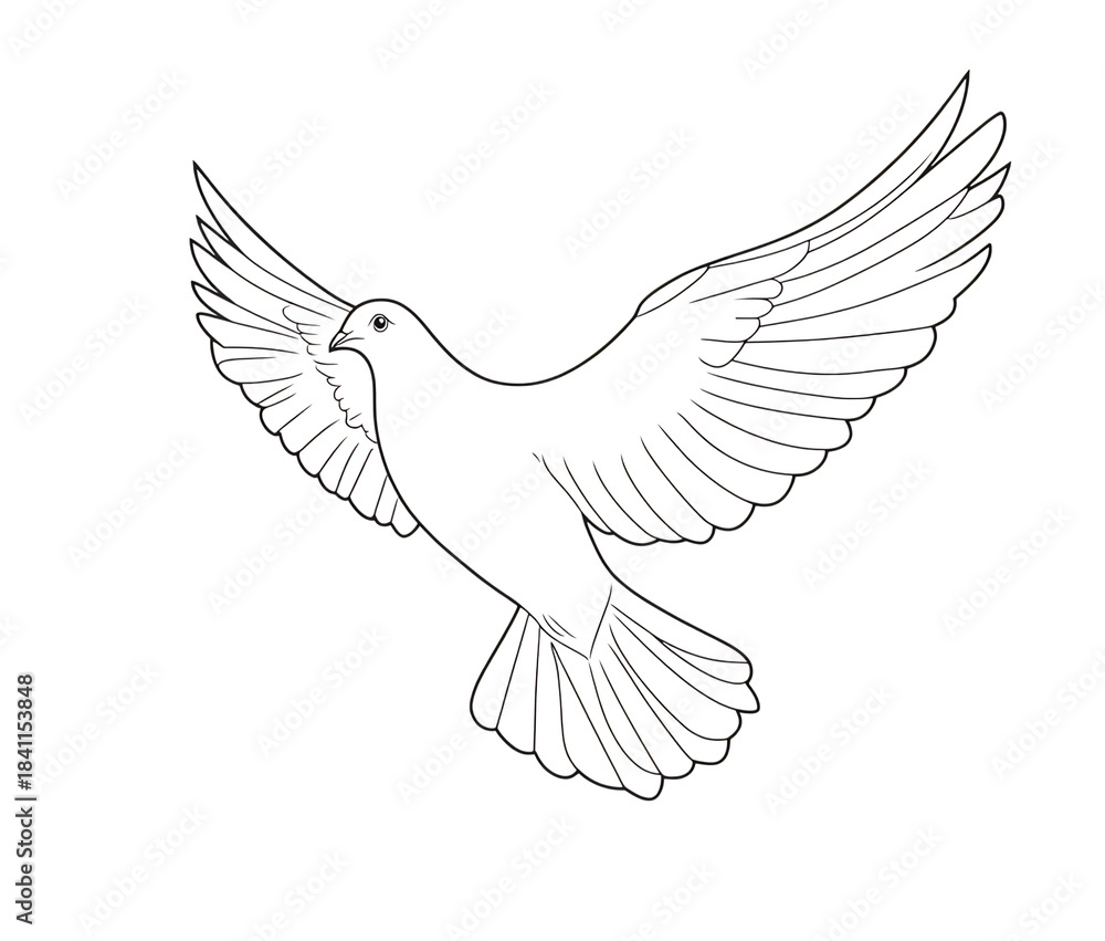 Fototapeta premium Elegant Dove in Flight Line Art