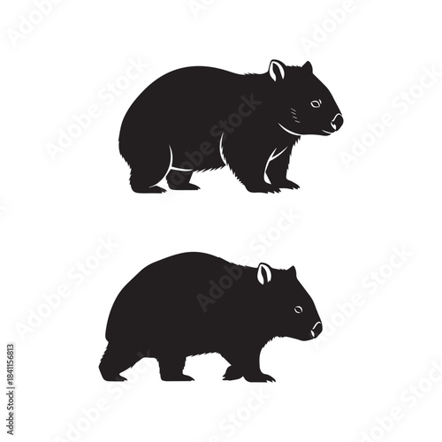 Wombat Silhouette Vector Set Black and White

Wombat Animal Silhouette Minimal Vector Illustration

Wombat Black White Wildlife Silhouette Collection
