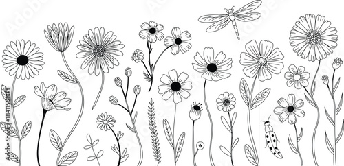 Black and white line of flowers and insects line flowers