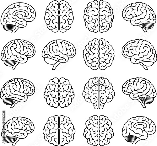 Minimalist Vector Outline Icon Set of Human Brain Views: Side, Top, and Frontal Lobes