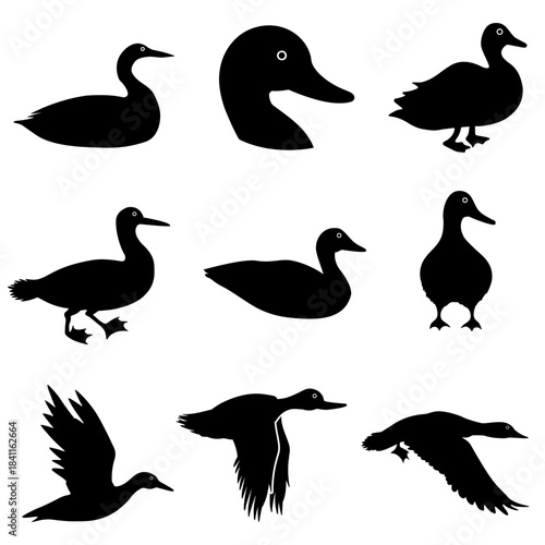 Loon icon vector set. Duck Illustration sign collection. bird symbol. fowl logo.