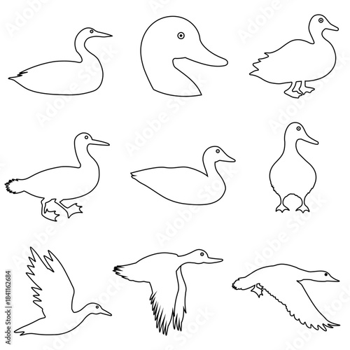 Loon icon vector set. Duck Illustration sign collection. bird symbol. fowl logo.