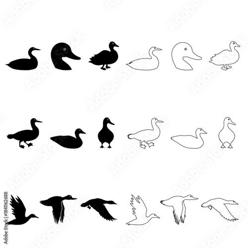 Loon icon vector set. Duck Illustration sign collection. bird symbol. fowl logo.