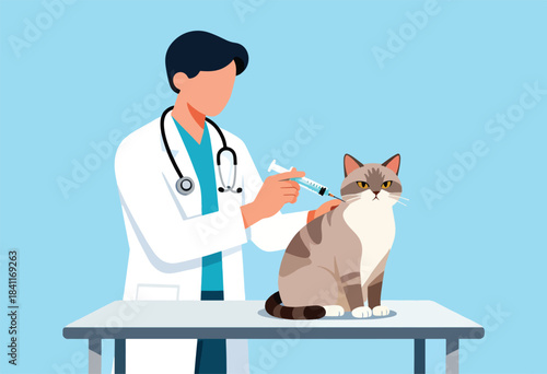 A veterinarian gives a cat a shot. Doctor, stethoscope, and syringe are shown. The cat sits on a table