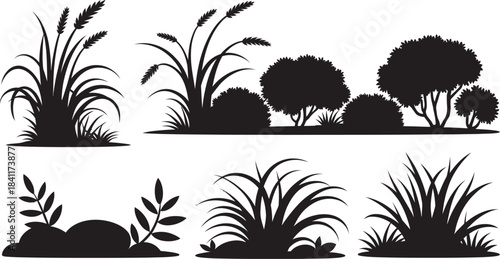 Black silhouettes of grass, bushes, and plants collection. nature set isolated on Vector illustration
