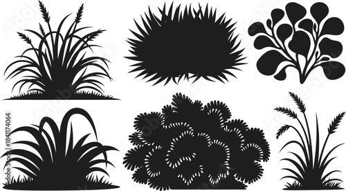 Grass and Bush Silhouette Collection of Vector illustration