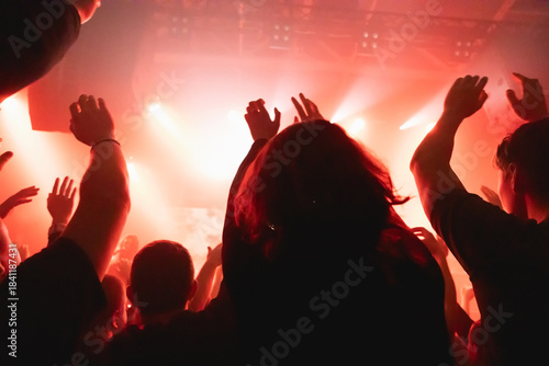 Fans lifting hands toward stage during a live concert with blue lighting and energetic atmosphere.