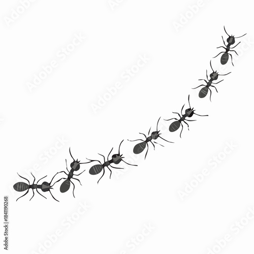 A line of worker ants marching in search of food. Vector banner