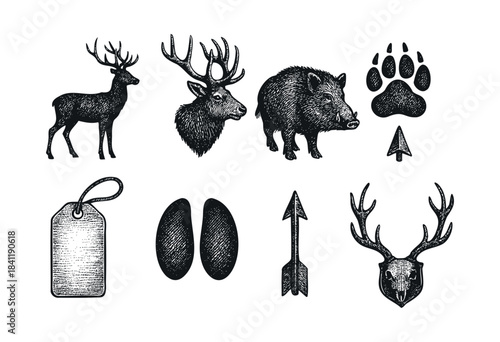 A collection of hand-drawn vintage hunting and wilderness elements featuring deer, wild boar, paw prints, arrows, and an antler skull illustration — stock vector.