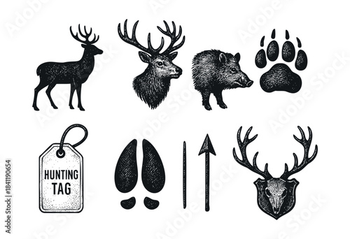 A collection of hand-drawn vintage hunting and wildlife elements including deer, wild boar, antlers, skulls, paw prints, and arrows with a distressed texture — stock vector.