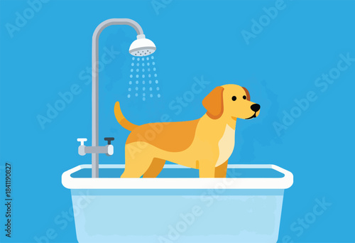 A dog stands in a tub under a shower with blue background. Water droplets descend