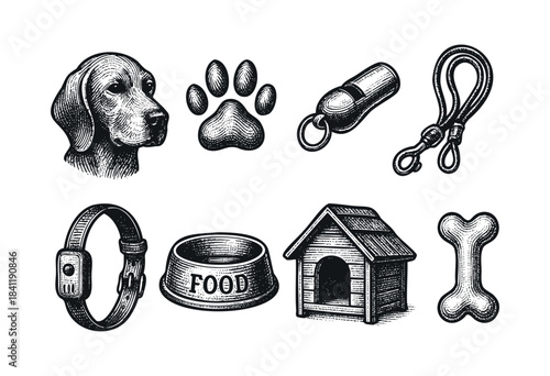 A vintage engraving style collection depicting essential dog care items, including a canine head, paw print, whistle, leash, collar, food bowl, dog house, and bone — stock vector.