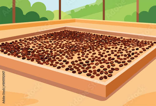 A tray of roasted coffee beans sits under a light sky with trees in the background, a flat illustration
