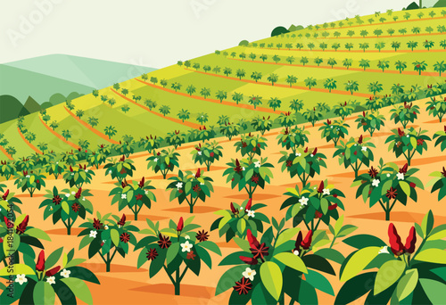Illustration of a hillside farm with terraced fields of pepper plants and green mountains in the background