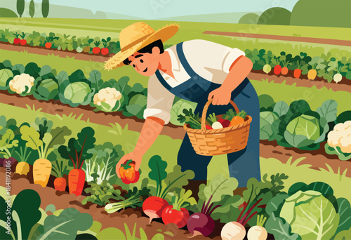 A farmer in straw hat harvests ripe vegetables from rows, placing them into a basket, with a scenic field background