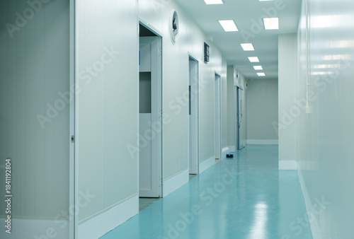 Картината върху платно Modern lab laboratory corridor food factory production line, Bright sterile light green flooring soft white walls multiple open doors, Clean room quiet atmosphere industrial facility quality interior