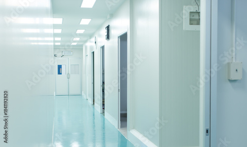 Modern lab laboratory corridor food factory production line, Bright sterile light green flooring soft white walls multiple open doors, Clean room quiet atmosphere industrial facility quality interior.