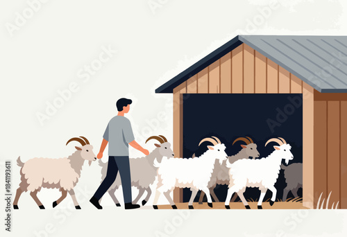 A farmer leads a herd of goats towards a wooden barn. Illustration shows farm life and animal care