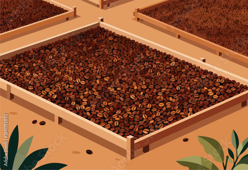 An isometric illustration depicts wooden drying racks filled with coffee beans, in a roastery or coffee farm