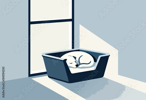 A sleeping white dog curled up in a blue pet bed in the corner of a room, near a window