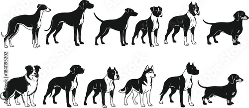 Dog illustration set, side profile silhouettes, breed comparison, black and white vector artwork, fur and tail styles, white background