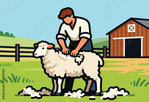 A farmer shears a sheep on a grassy field with a barn in the background