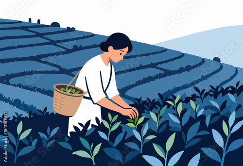 An illustrated woman picks tea leaves in a field with a basket. Fields of blue. Sunny day