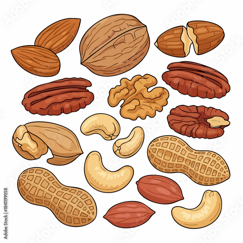 Detailed nuts assortment illustration features shelled, unshelled nuts: almonds, walnuts, pecans, cashews, peanuts. Healthy nuts assortment is perfect for food blogs, recipe graphics.