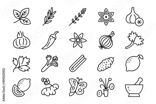 Hand drawn herb and spice icons collection for culinary designs