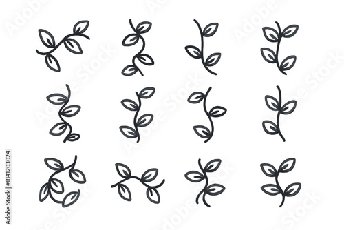 Different line drawings of simple leaf patterns arranged in a grid layout on a plain background