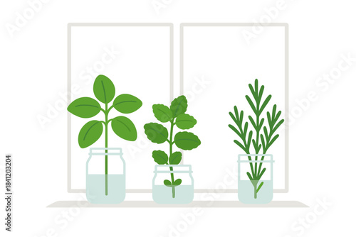 Rooting herbs in jars on a windowsill during daytime with sunlight shining through
