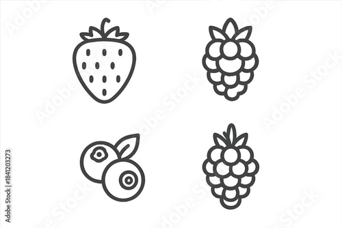 Four types of fruit drawn in simple style on a white background with no color or shading