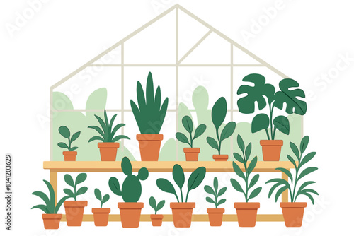 Greenhouse filled with various plants in pots arranged on wooden shelves under bright light