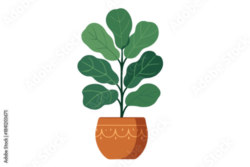 Green plant with large leaves in a decorative pot placed indoors on a simple background