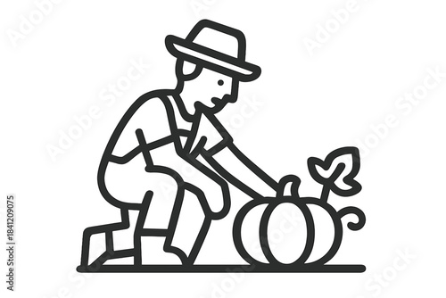 Gardener planting pumpkin in field during daytime