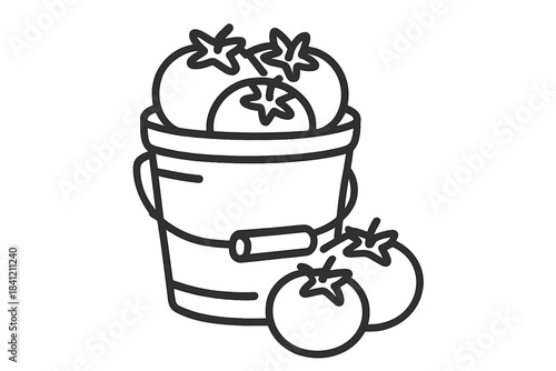 Freshly picked ripe tomatoes overflowing a metal bucket during harvest season