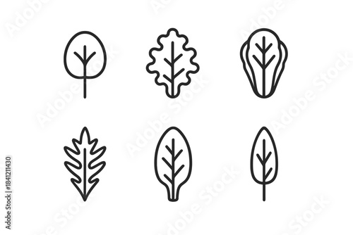 Six different minimalist line symbols depicting various types of leaves and salad greens