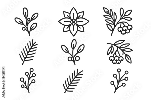 Minimalist winter holiday plants and berries featuring poinsettia, pine, and mistletoe branches