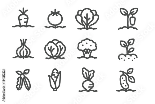 Various vegetable icons arranged in a grid showing different types including carrots, tomatoes, and broccoli in simple line art style