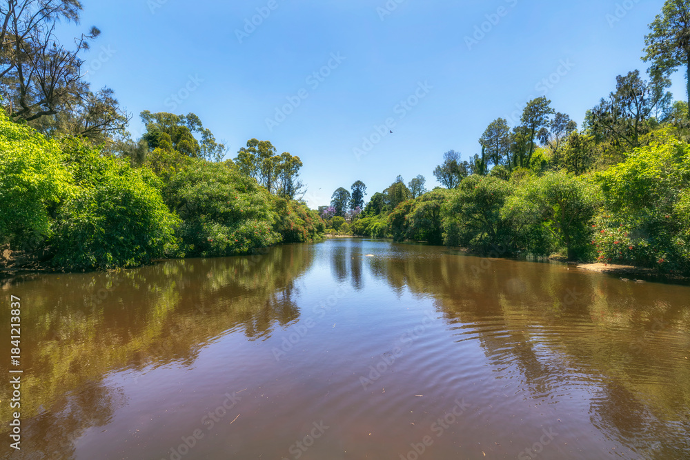 Fototapeta premium Parramatta park river up stream