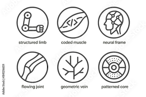 Algorithmic Body Icons. Line style round vector icons of Algorithmic Body: structured limb, coded muscle, neural frame, flowing