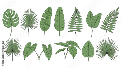 vector set of green leaves
