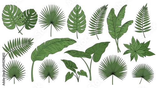 vector set of green leaves