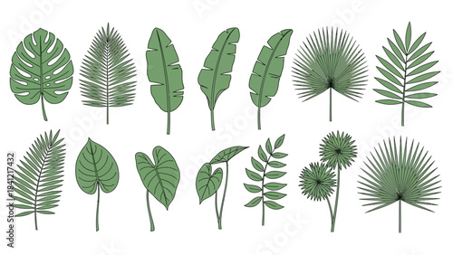 vector set of green leaves