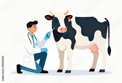 An illustrated veterinarian taking a cow's temperature. The cow is black and white. The vet kneels